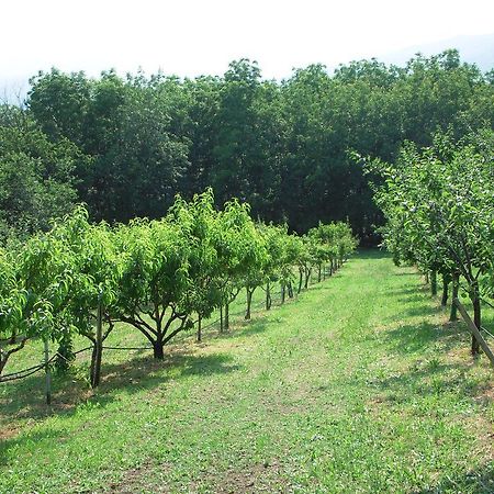 Santa Brigida Bed and Breakfast Πινερόλο Εξωτερικό φωτογραφία